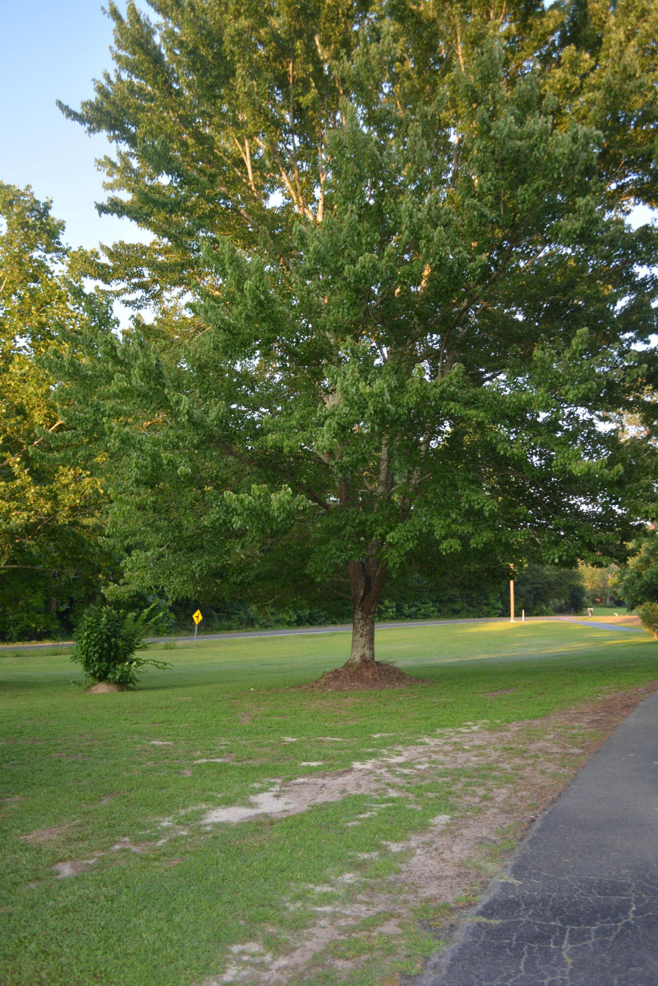 2126 Cedar Grove Road Leesville, SC 29070 - Photo 74 of 74