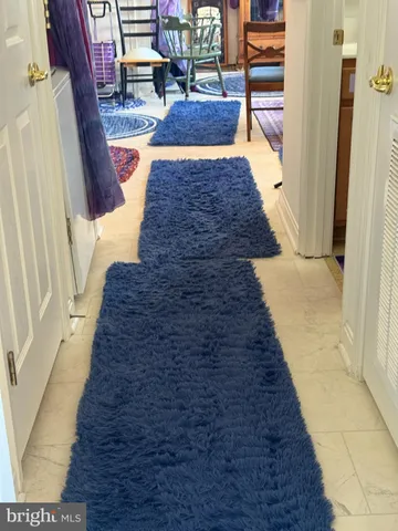 a bath room with a rug