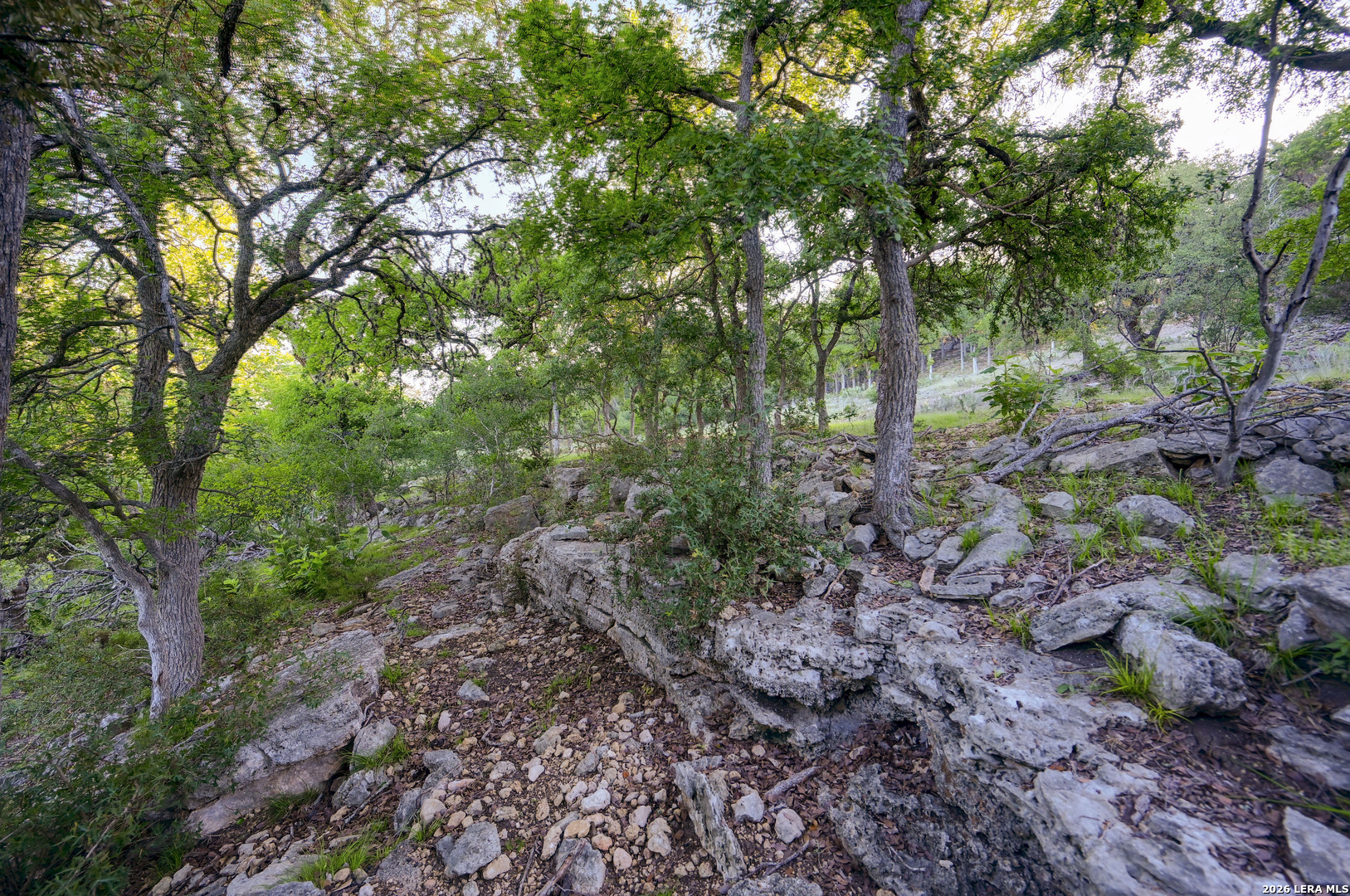 315 Rittimann Road Spring Branch, TX 78070 - Photo 35 of 51