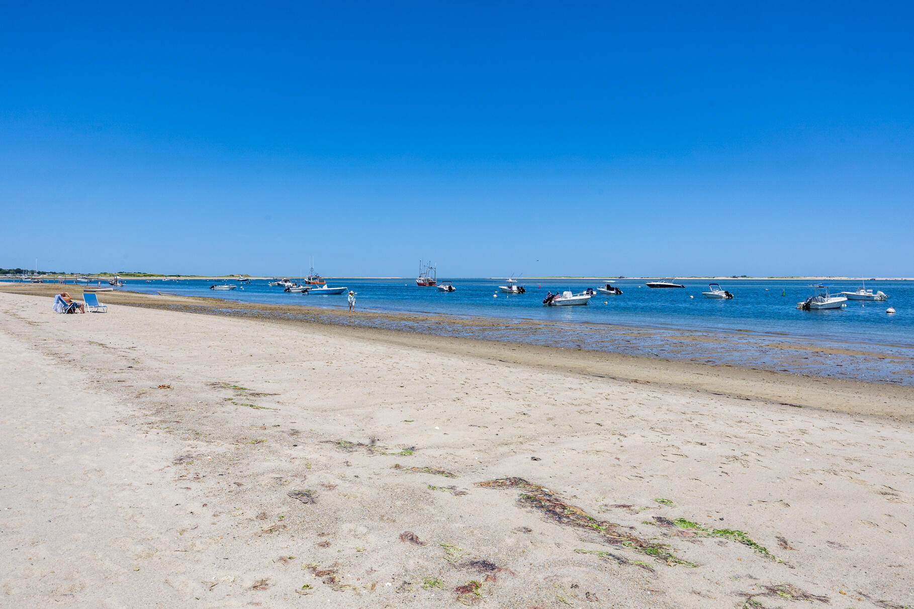 166 Shore Road Chatham, MA 02633 - Photo 78 of 103 9L4A4790