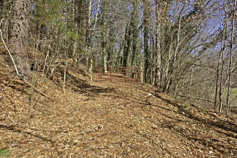 747 Wears Valley Road Townsend, TN 37882 - Photo 5 of 20 F