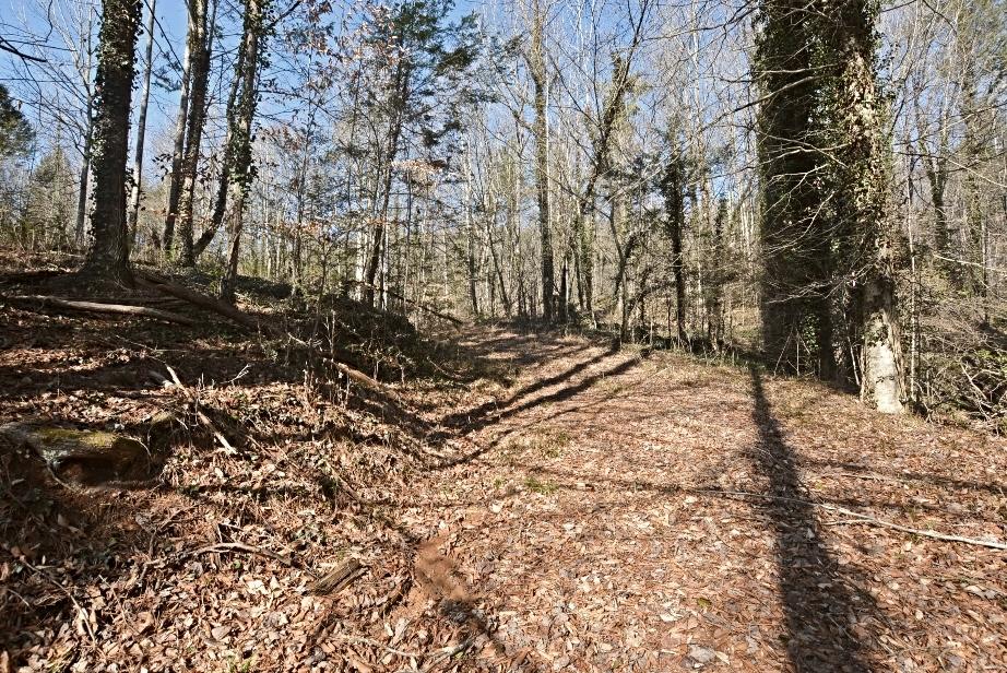 747 Wears Valley Road Townsend, TN 37882 - Photo 8 of 20 I