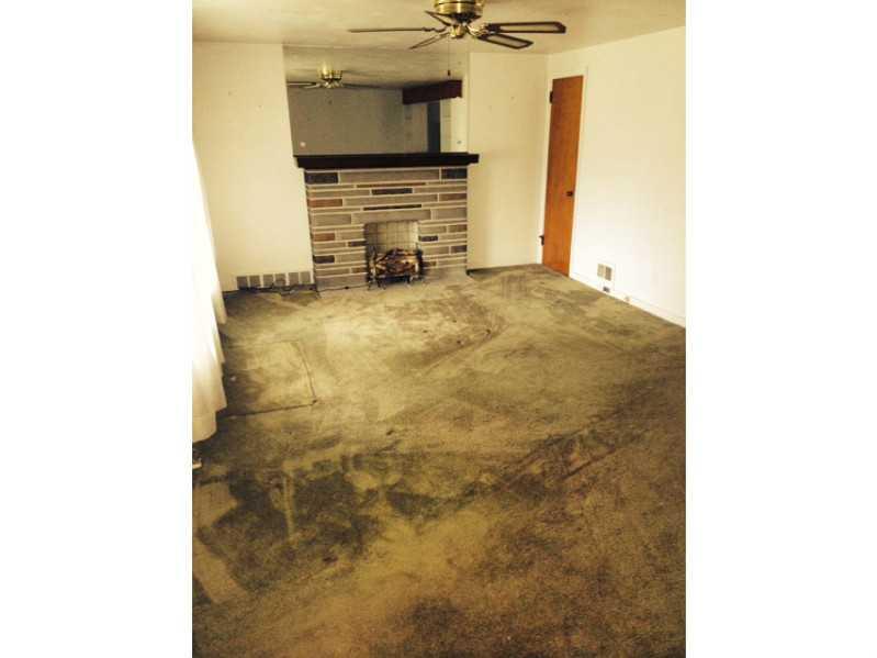 1518 Greentree Road Pittsburgh, PA 15220 - Photo 2 of 11 Living Room. Spacious Living Area