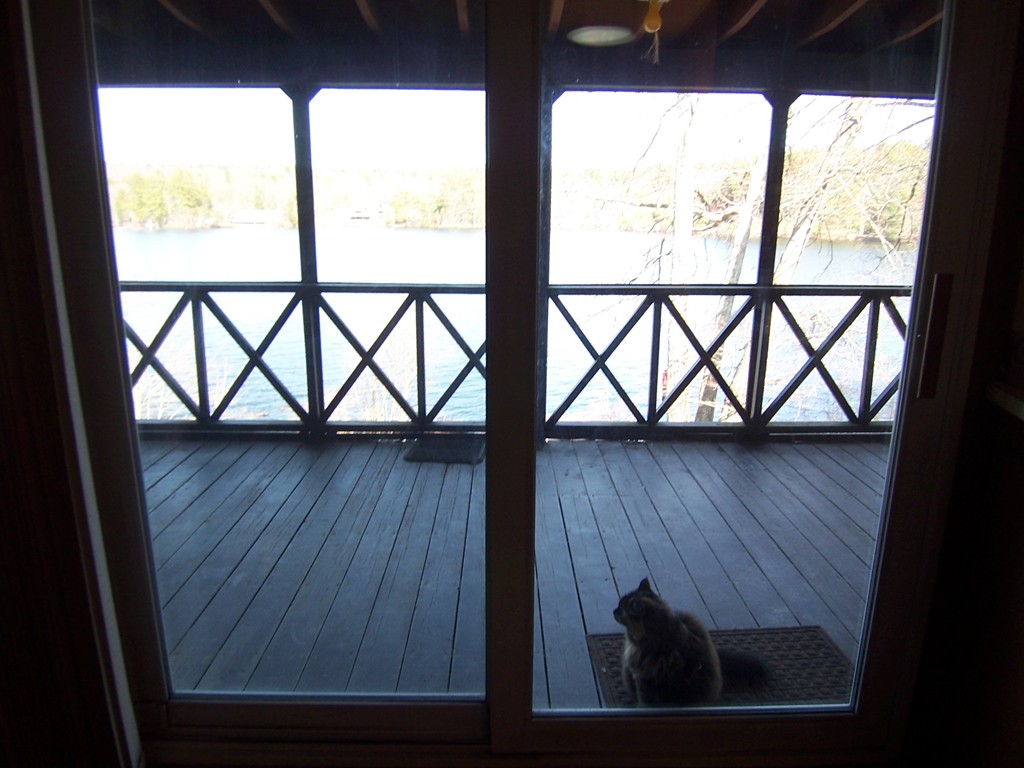 3 Beaver Road Ware, MA 01082 - Photo 17 of 18