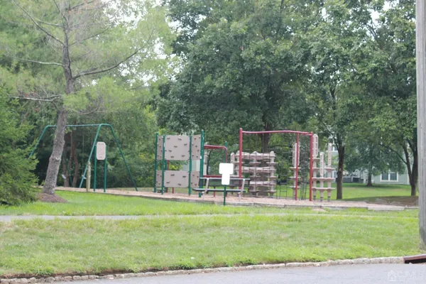 a view of a park with large trees