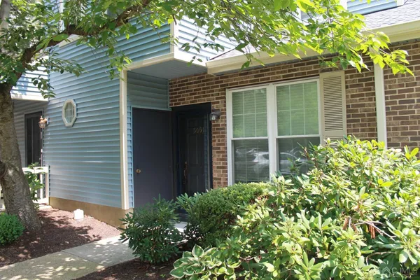 a potted plant sitting in front of a house