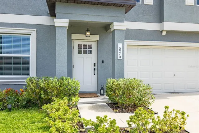 a view of a backyard