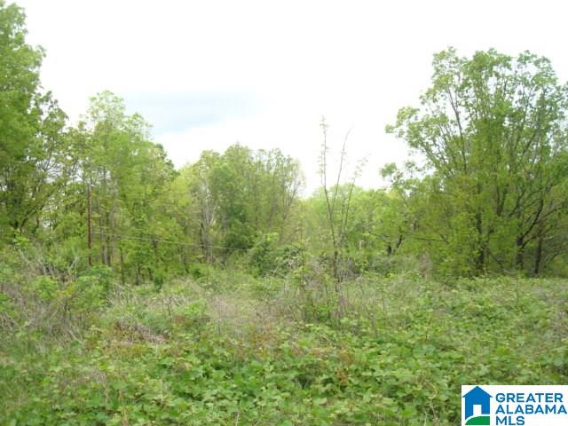 Kitchens Street, Unit 20 Anniston, AL 36201 - Photo 10 of 16