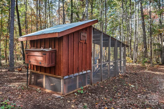 a view of a yard with plants and trees