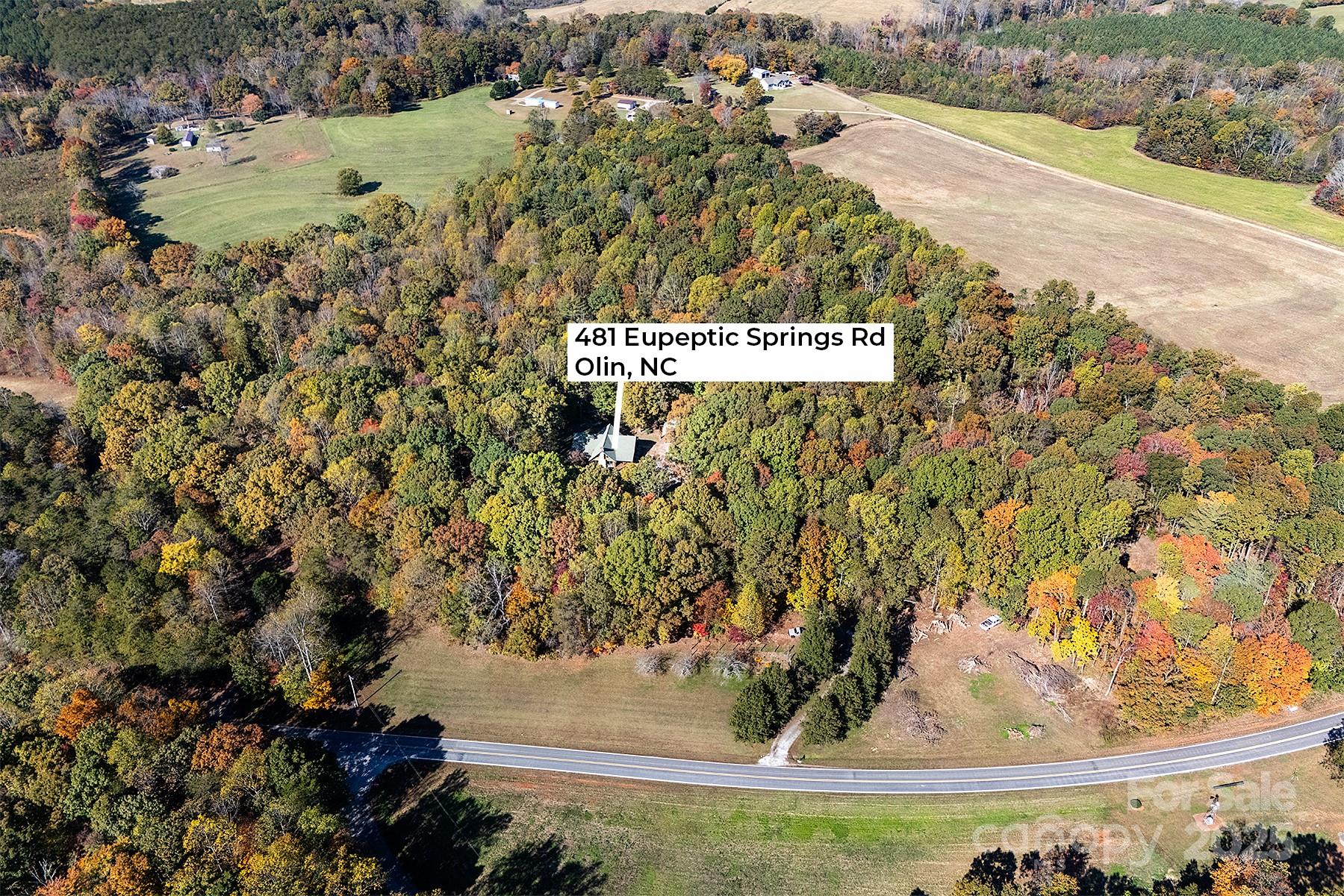 481 Eupeptic Springs Road Olin, NC 28660 - Photo 4 of 44