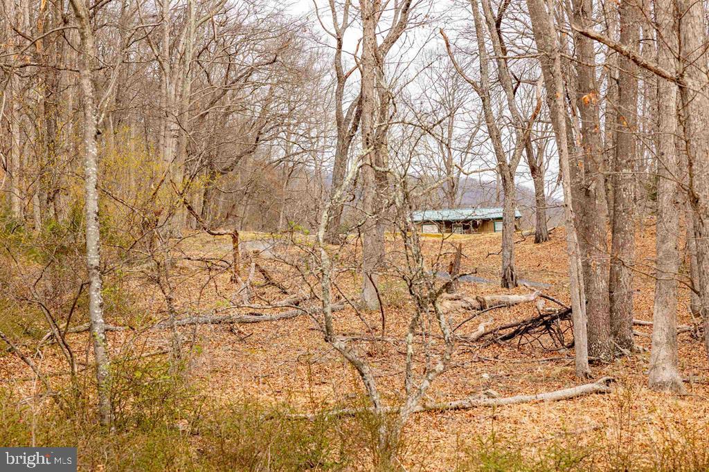 49 Mount Top Road Baker, WV 26801 - Photo 33 of 34