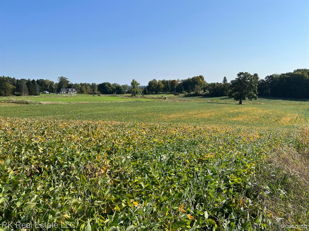 4662 Lum Road Attica, MI 48412 - Photo 22 of 25