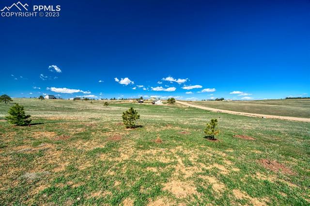 13615 Mc Cune Road Elbert, CO 80106 - Photo 10 of 31