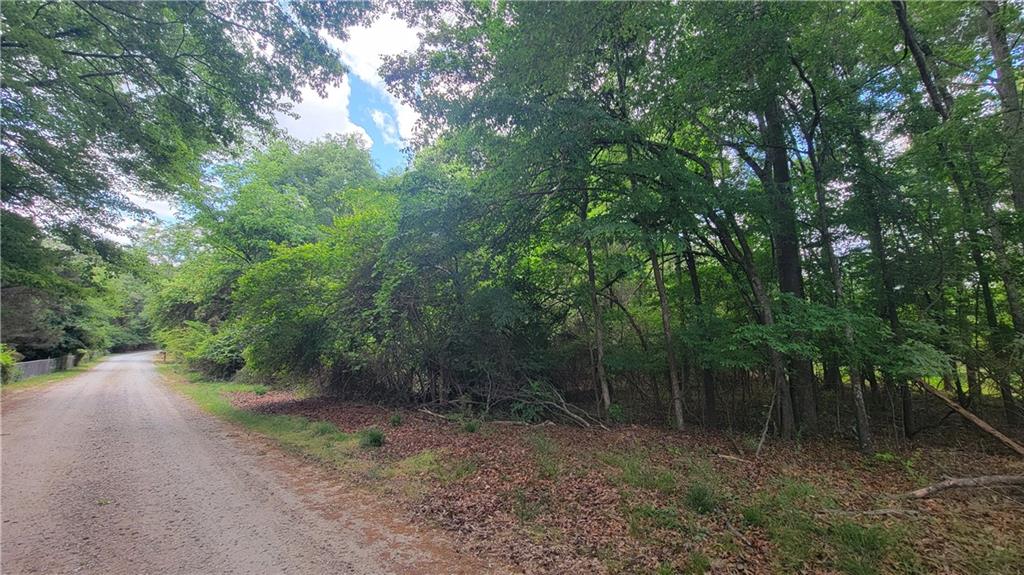 0 Lester Road Athens, GA 30607 - Photo 3 of 16