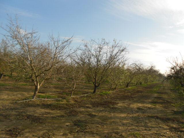 2406 South Tegner Road Turlock, CA 95380 - Photo 2 of 23