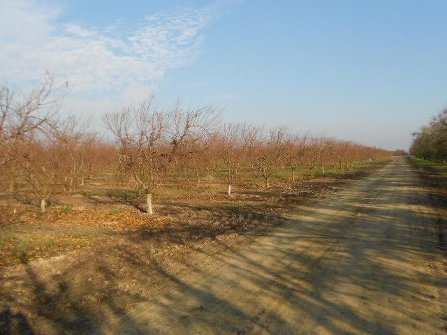 2406 South Tegner Road Turlock, CA 95380 - Photo 12 of 23