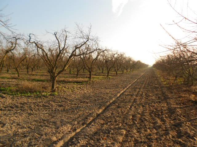 2406 South Tegner Road Turlock, CA 95380 - Photo 13 of 23