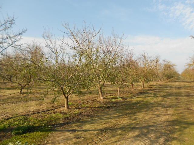 2406 South Tegner Road Turlock, CA 95380 - Photo 4 of 23