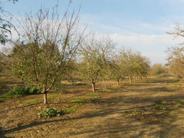 2406 South Tegner Road Turlock, CA 95380 - Photo 7 of 23