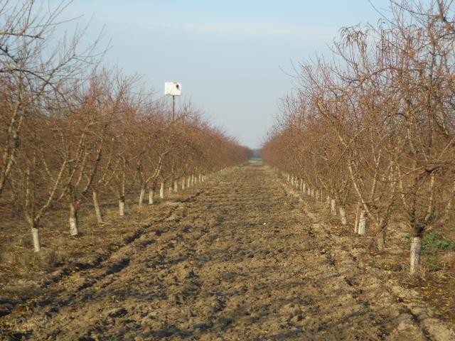 2406 South Tegner Road Turlock, CA 95380 - Photo 10 of 23