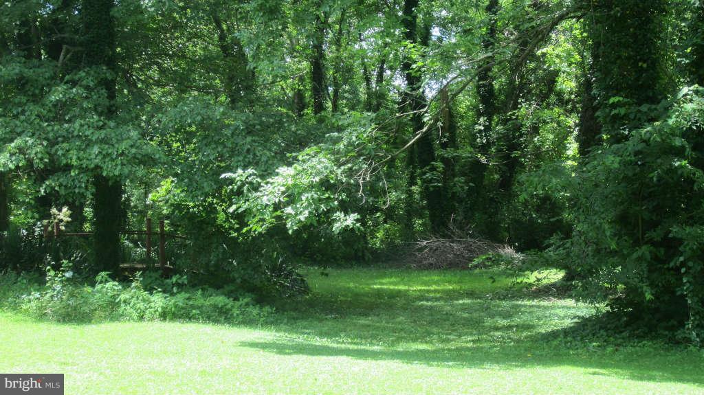 Frazier Road Warrenton, VA 20186 - Photo 3 of 4 Exterior General