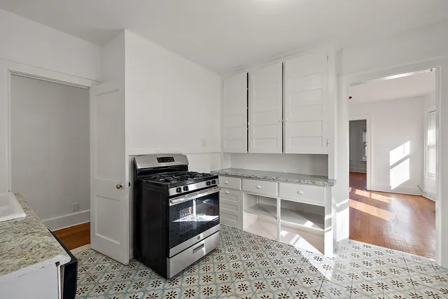 $345,000 | 1665 Atkinson Street, Detroit, MI 48206