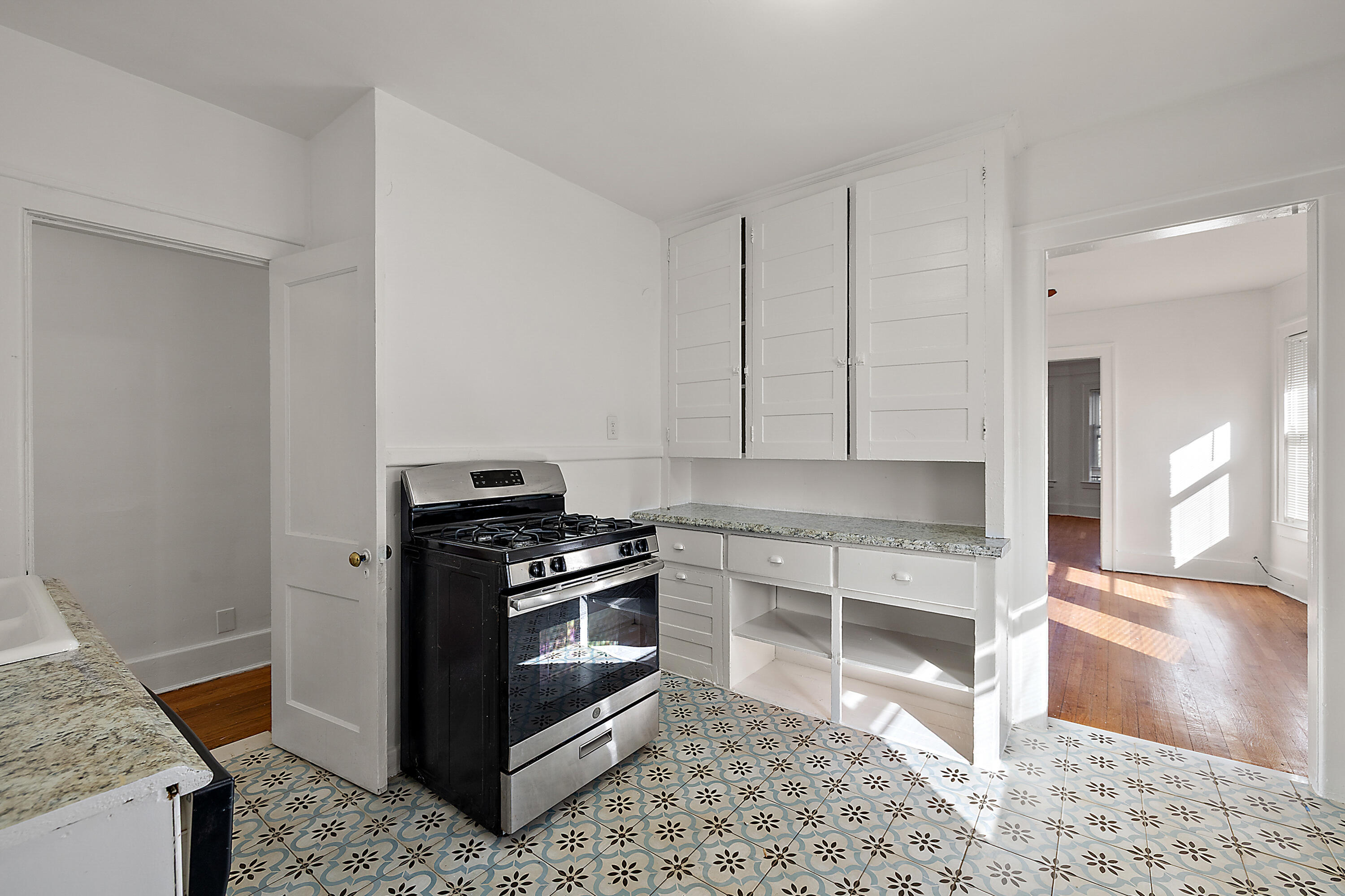 1665 Atkinson Street Detroit, MI 48206 - Photo 55 of 80 102-1667 Atkinson-38