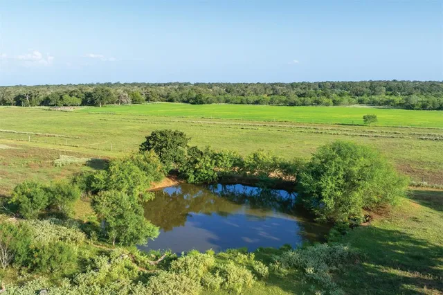 a view of a field with an ocean