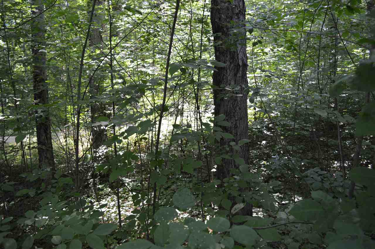 607 Yosemite Road Cadillac, MI 49601 - Photo 10 of 15