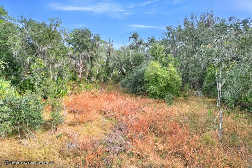 0 East Keysville Road Lithia, FL 33547 - Photo 1 of 1 a view of a yard with a tree