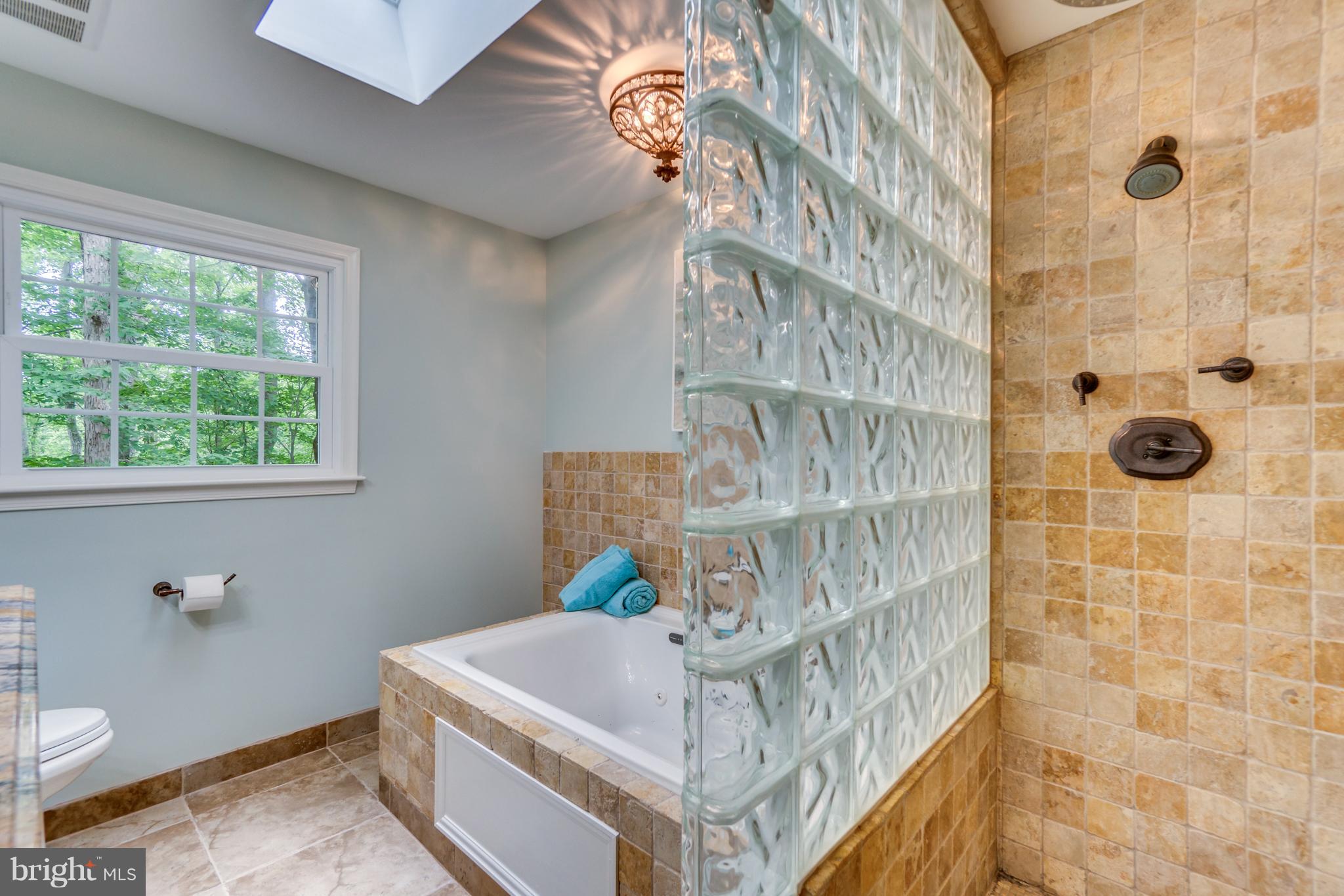 117 Bluff Point Road Fredericksburg, VA 22407 - Photo 27 of 30 a bathroom with a sink a toilet and shower