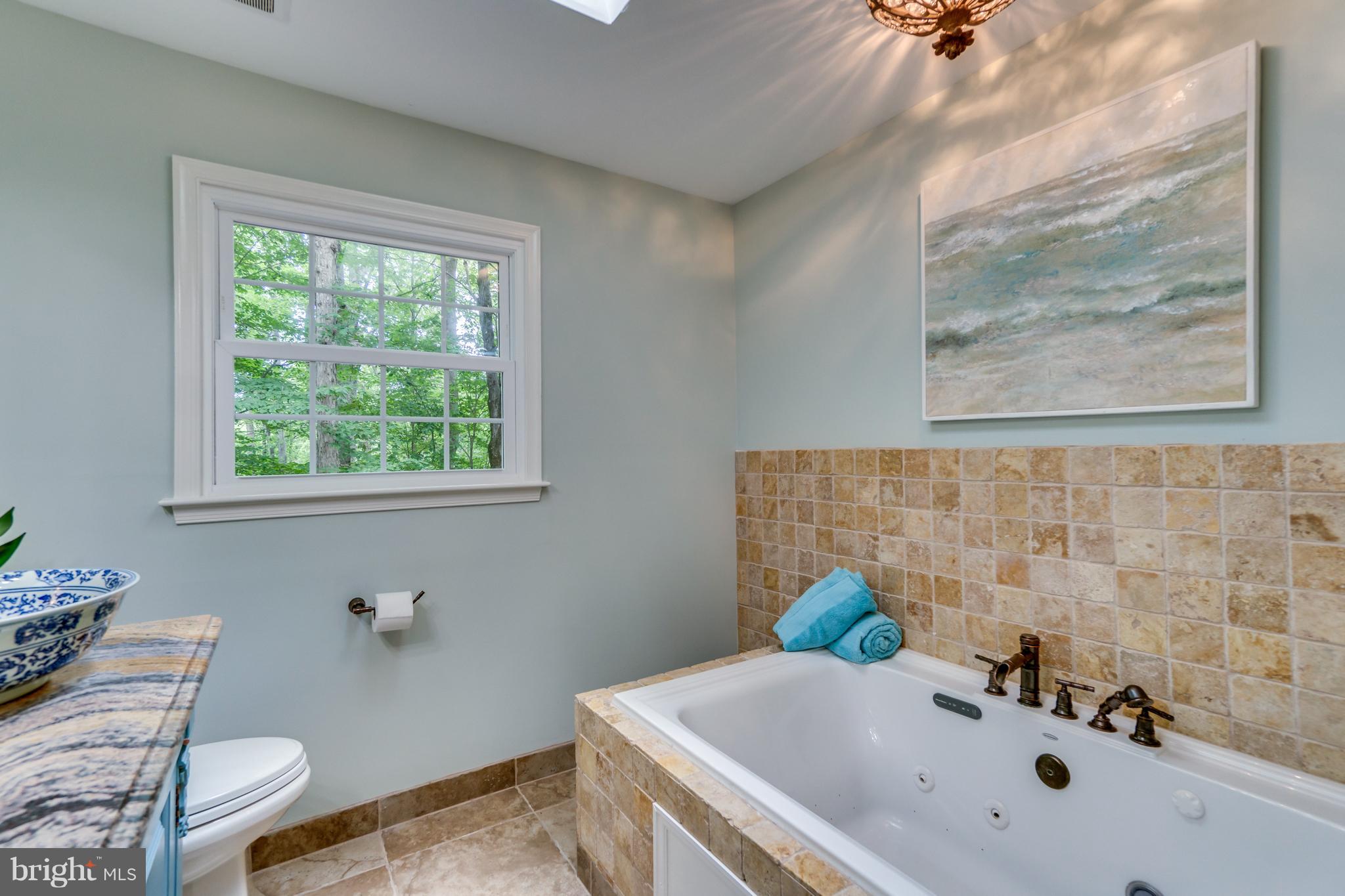 117 Bluff Point Road Fredericksburg, VA 22407 - Photo 28 of 30 a bath tub sitting in a bathroom next to a window