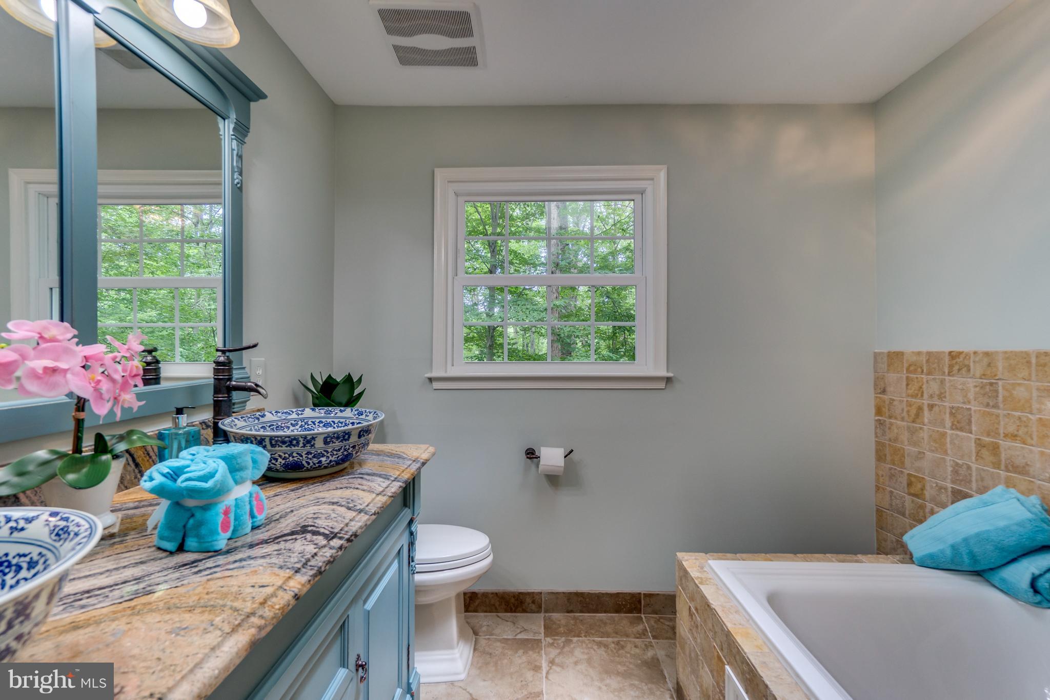 117 Bluff Point Road Fredericksburg, VA 22407 - Photo 29 of 30 a bath room with sink and a toilet