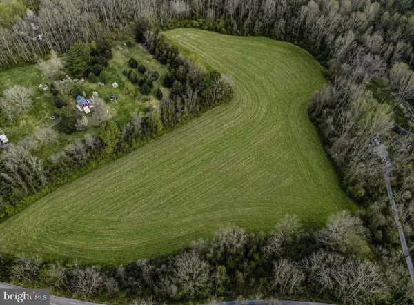 a view of a field with plants and large trees