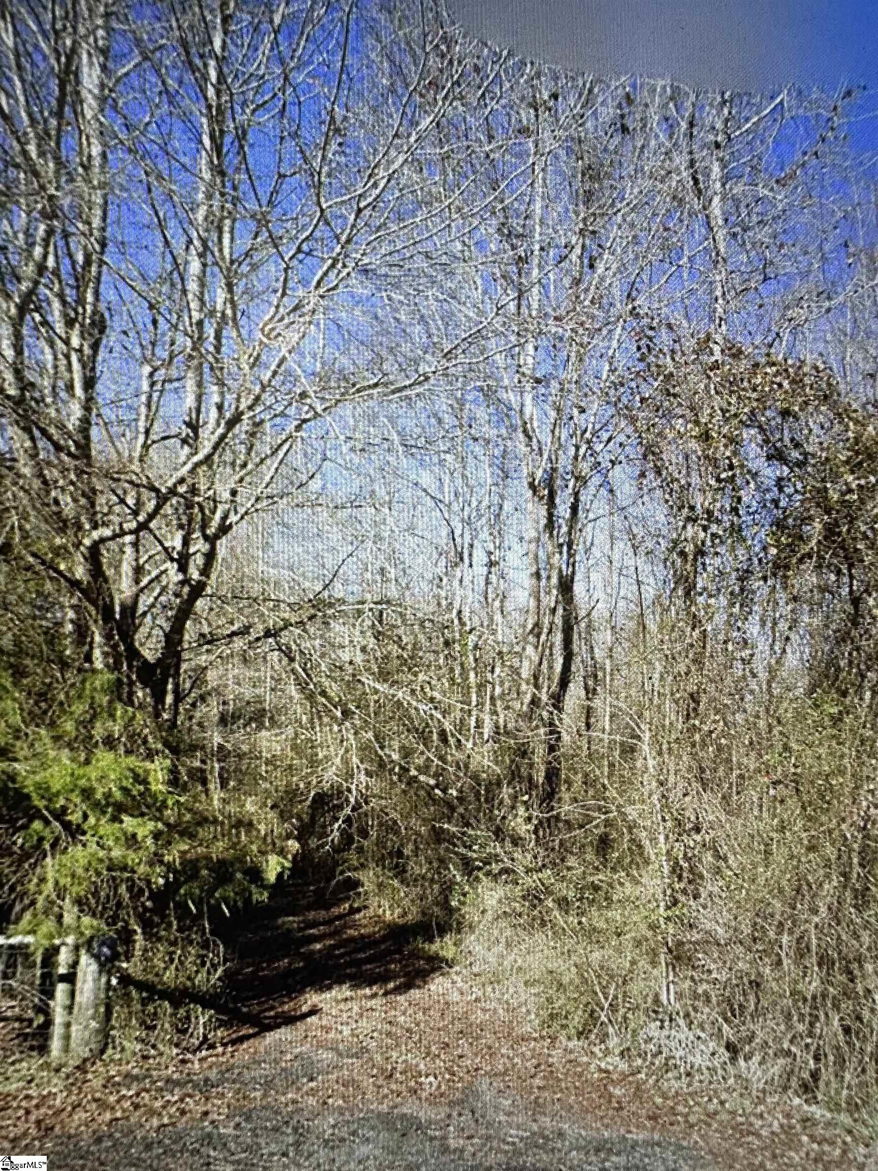 212 Old Tabernacle Road Belton, SC 29627 - Photo 3 of 5