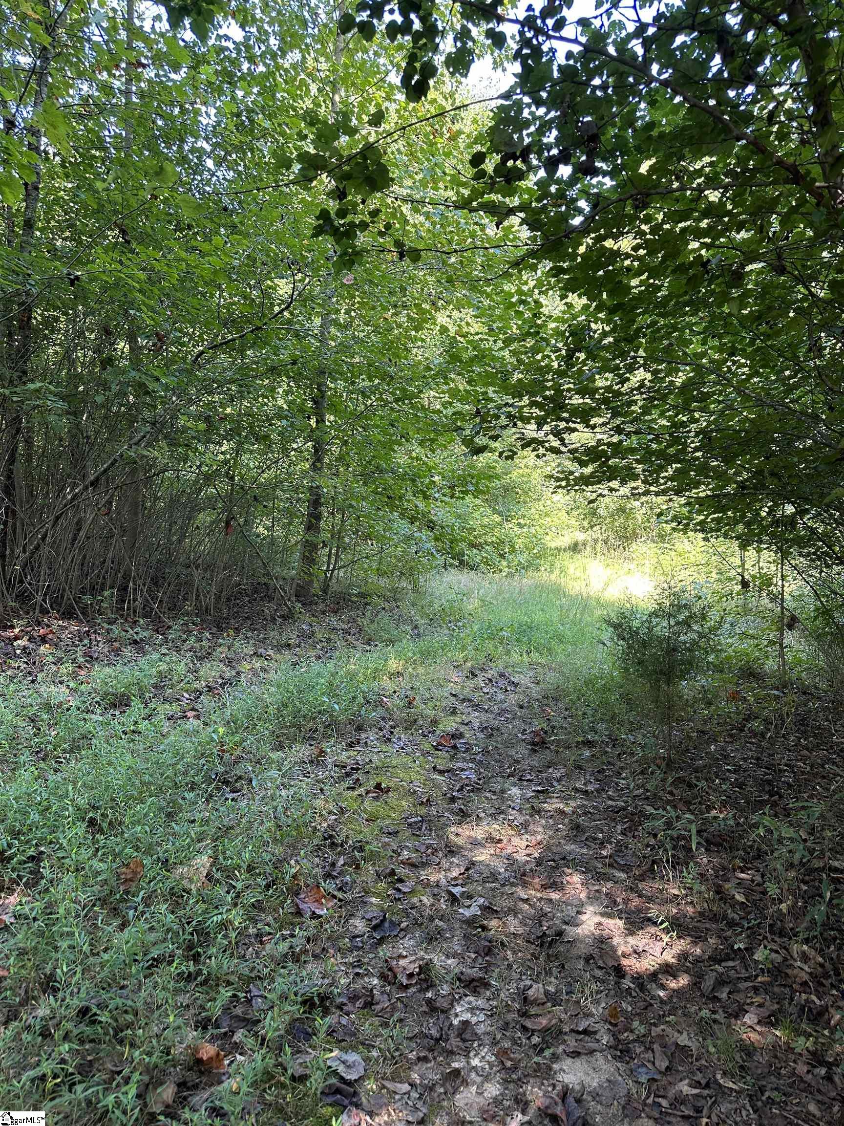 212 Old Tabernacle Road Belton, SC 29627 - Photo 4 of 5
