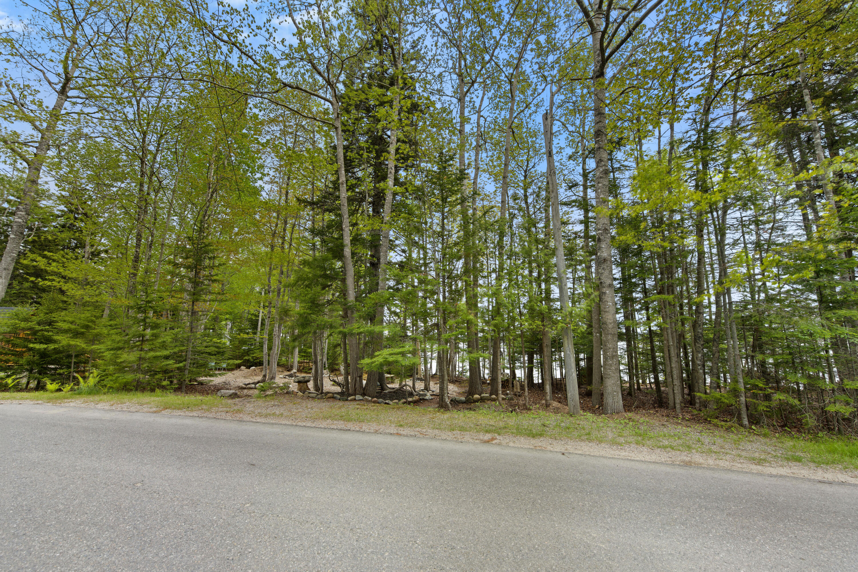 Lot 178 Rays Point Road Milbridge, ME 04658 - Photo 29 of 30 DSC_5730