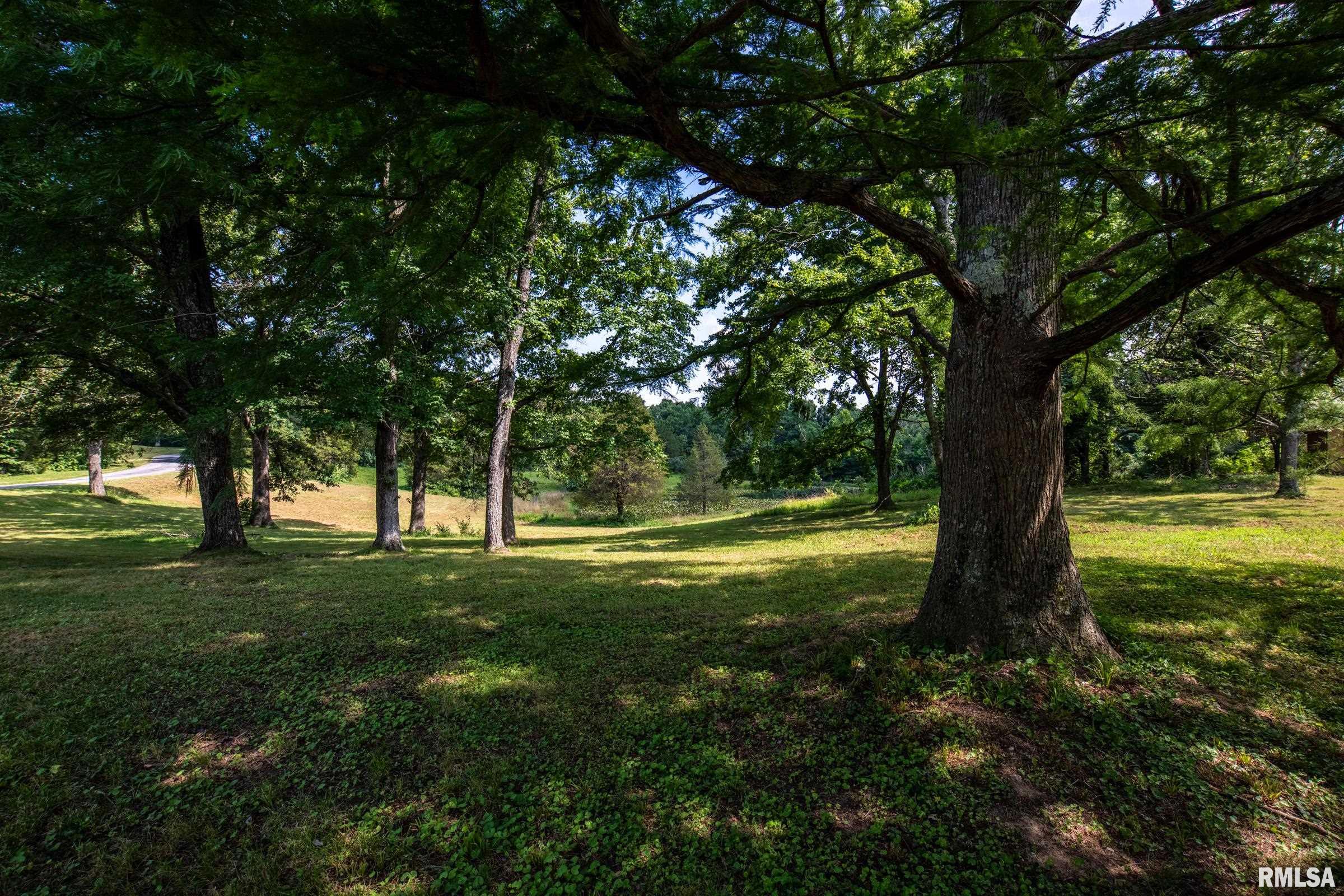 17209 Canaville Road Creal Springs, IL 62922 - Photo 23 of 35