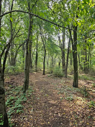 $229,900 | 0 Short Street, Stevensville, MI 49127