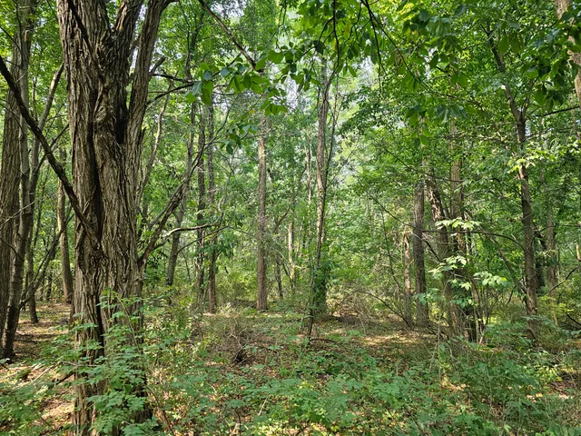 $229,900 | 0 Short Street, Stevensville, MI 49127