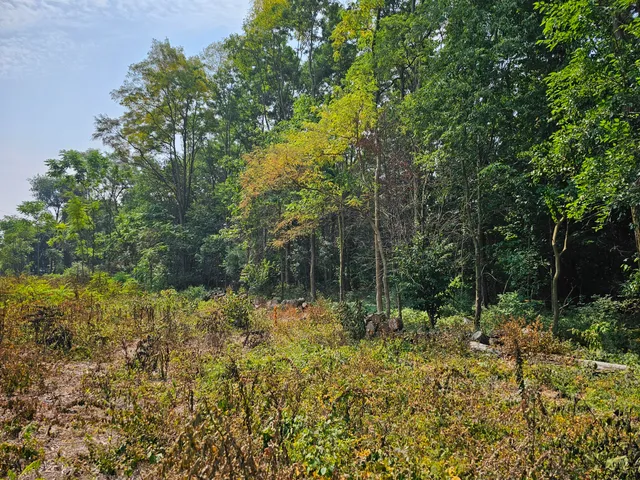 $229,900 | 0 Short Street, Stevensville, MI 49127