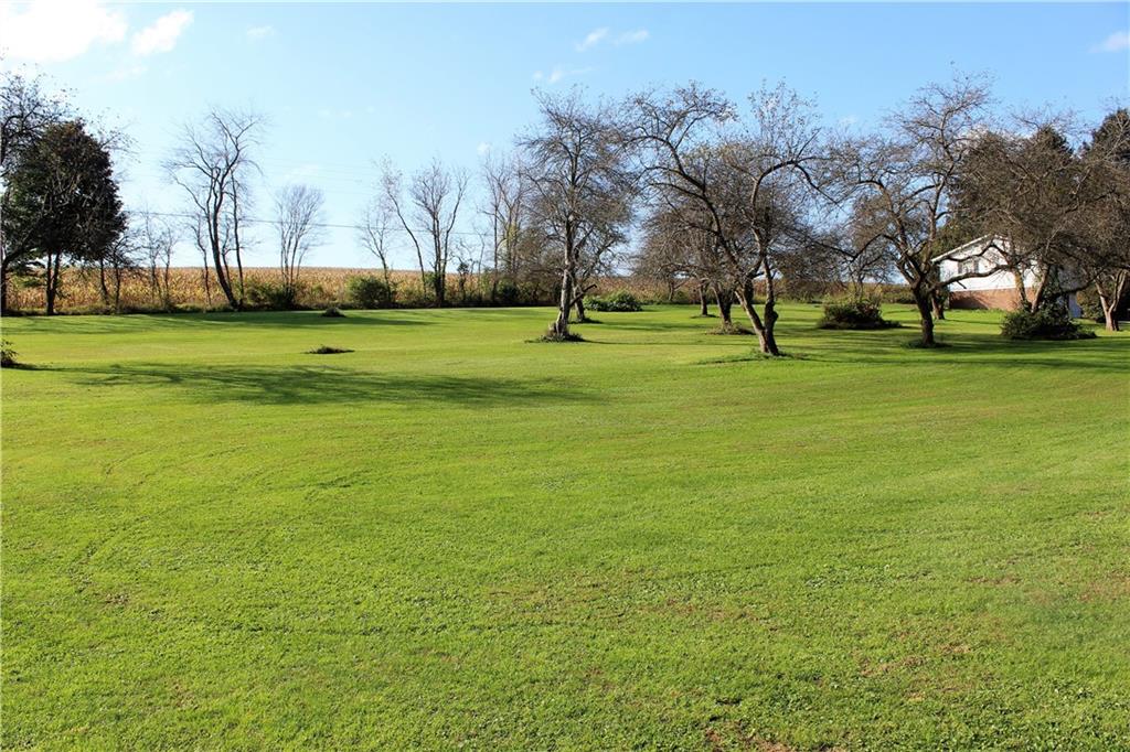 349 Country Lane Road Prospect, PA 16052 - Photo 23 of 25 a park with lots of trees