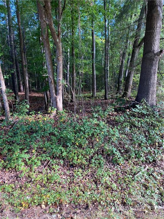 Tbd Wylies Mill Road Edgemoor, SC 29712 - Photo 2 of 2 a view of outdoor space and garden