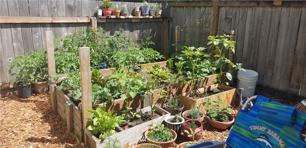 1717 Monroe Street Bellingham, WA 98225 - Photo 32 of 37 a bunch of flowers are in a garden