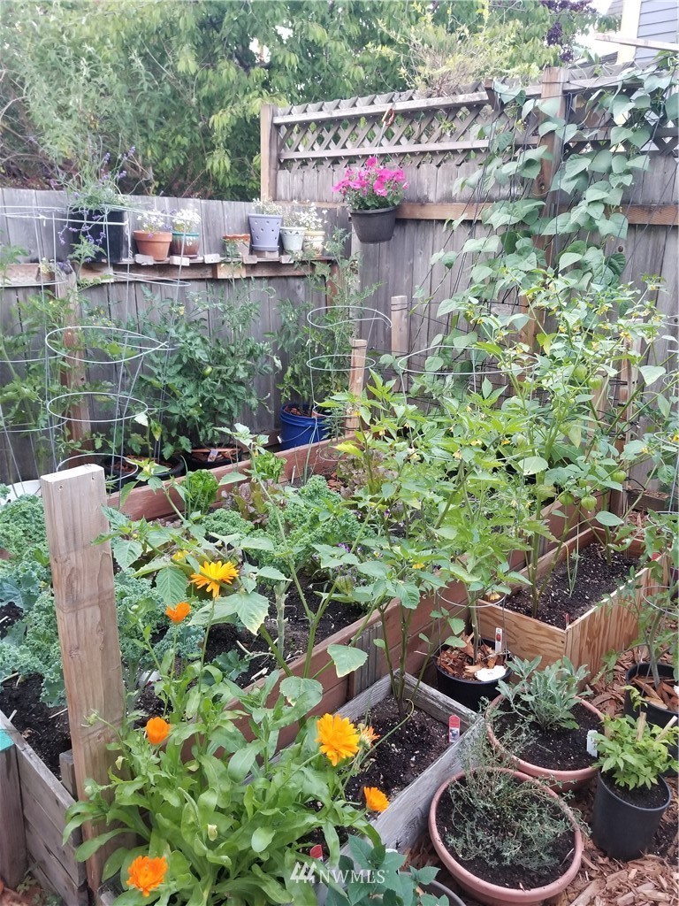 1717 Monroe Street Bellingham, WA 98225 - Photo 34 of 37 a view of a chair and tables in the patio