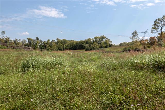 2 Cliff Amos Spring Hill, TN 37174 - Photo 2 of 6 a view of mountain with lake view