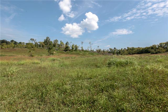 2 Cliff Amos Spring Hill, TN 37174 - Photo 3 of 6 a view of a city