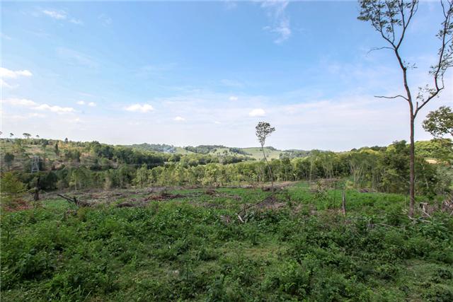 2 Cliff Amos Spring Hill, TN 37174 - Photo 5 of 6 a view of a city with lush green forest
