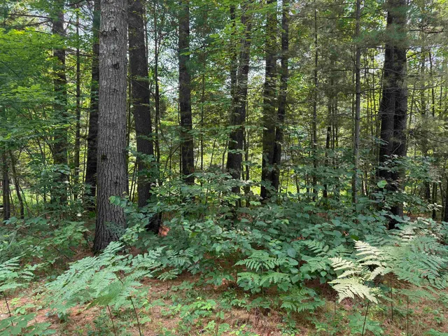 $54,900 | N15740 9th Avenue, Necedah, WI 54646