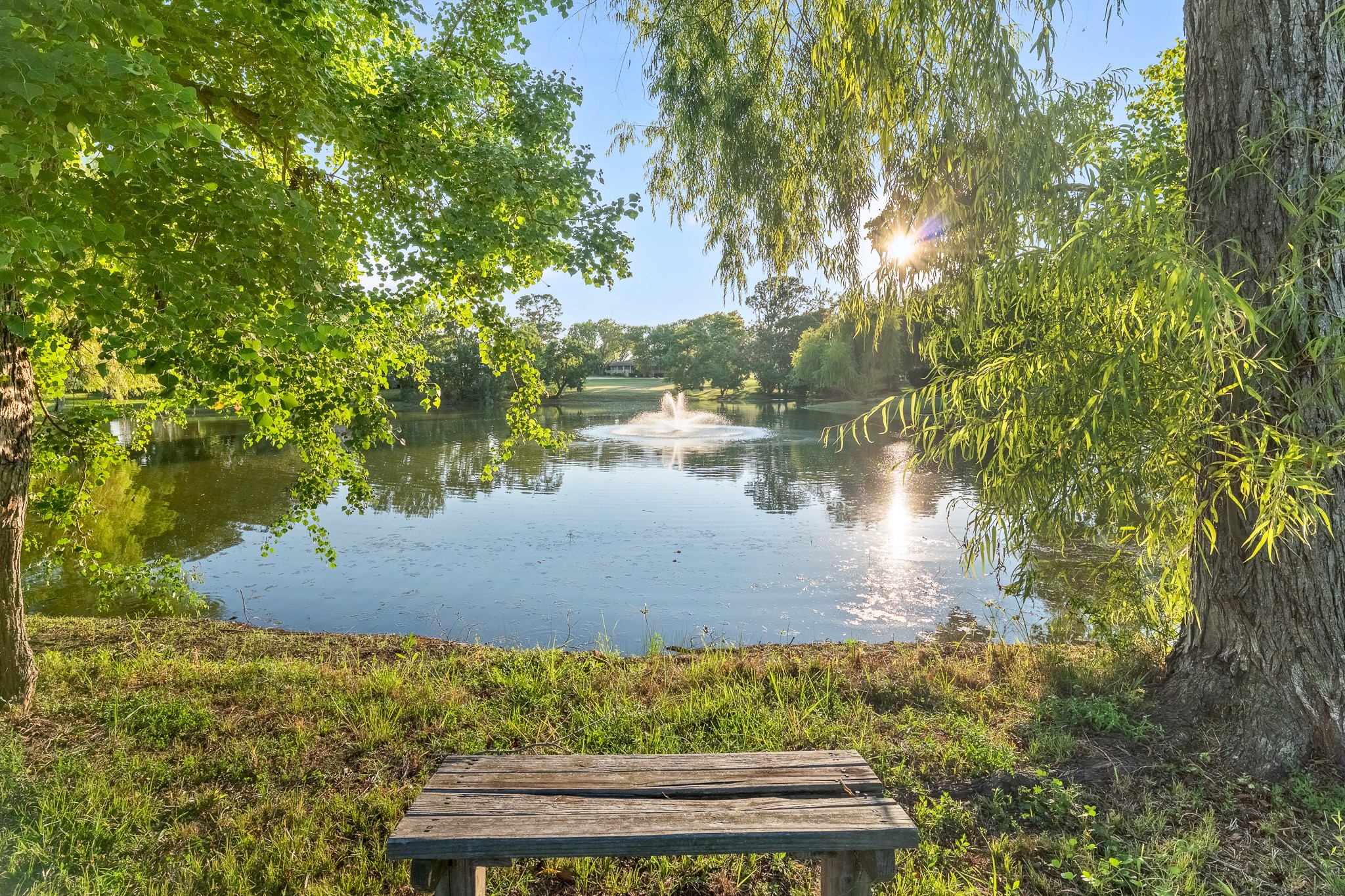 90 Cool Crest Point Blank, TX 77364 - Photo 30 of 40 a view of a lake from a yard